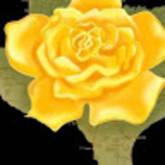 texasdeb58